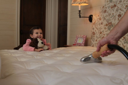 Отпариватель Jiffy Steamer J-2i